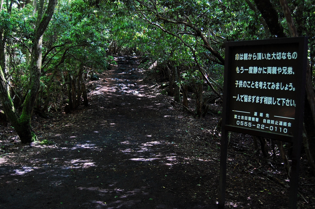 Aokigahara-pathway