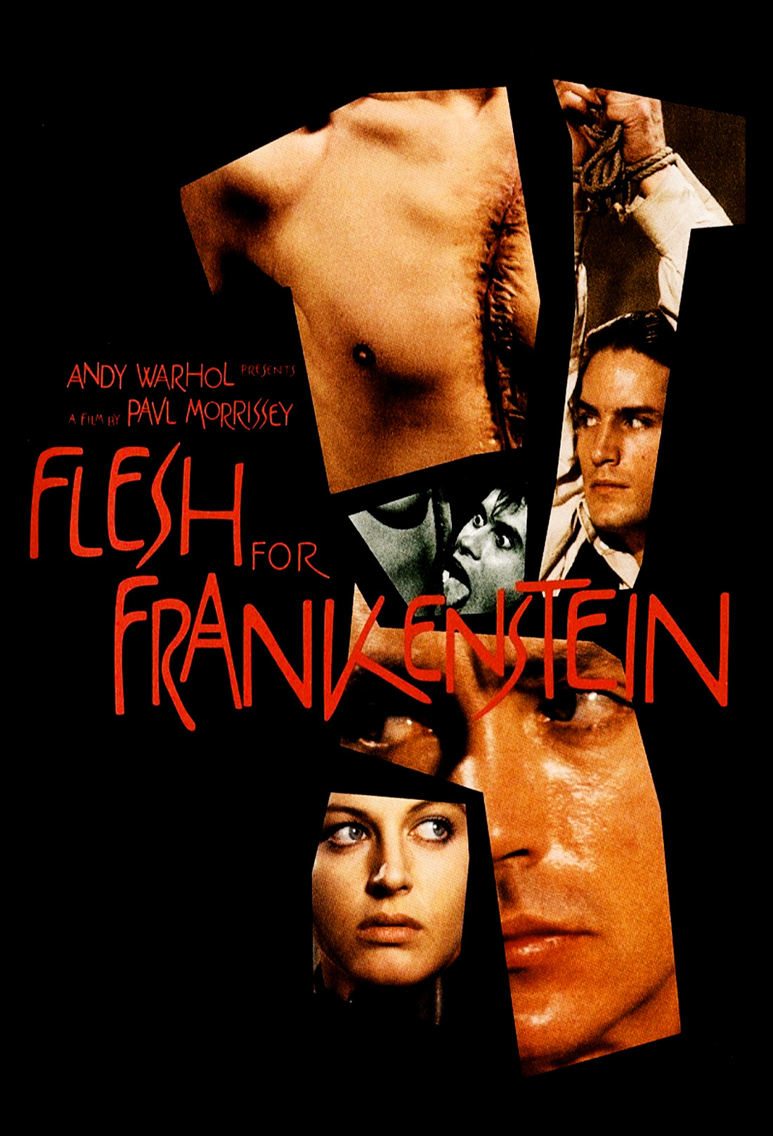 Frankenstein Porn Films - Video Nasty Review: Flesh For Frankenstein - Morbidly Beautiful