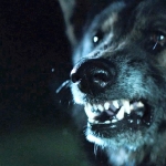Quick Takes: A Brief Review of "The Pack" (2015)