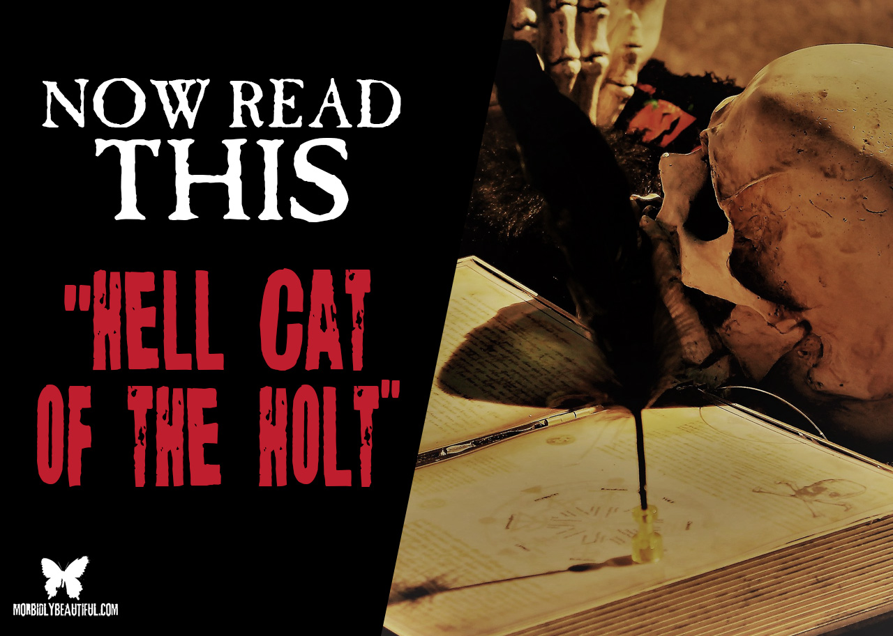 Now Read This: Hell Cat of the Holt