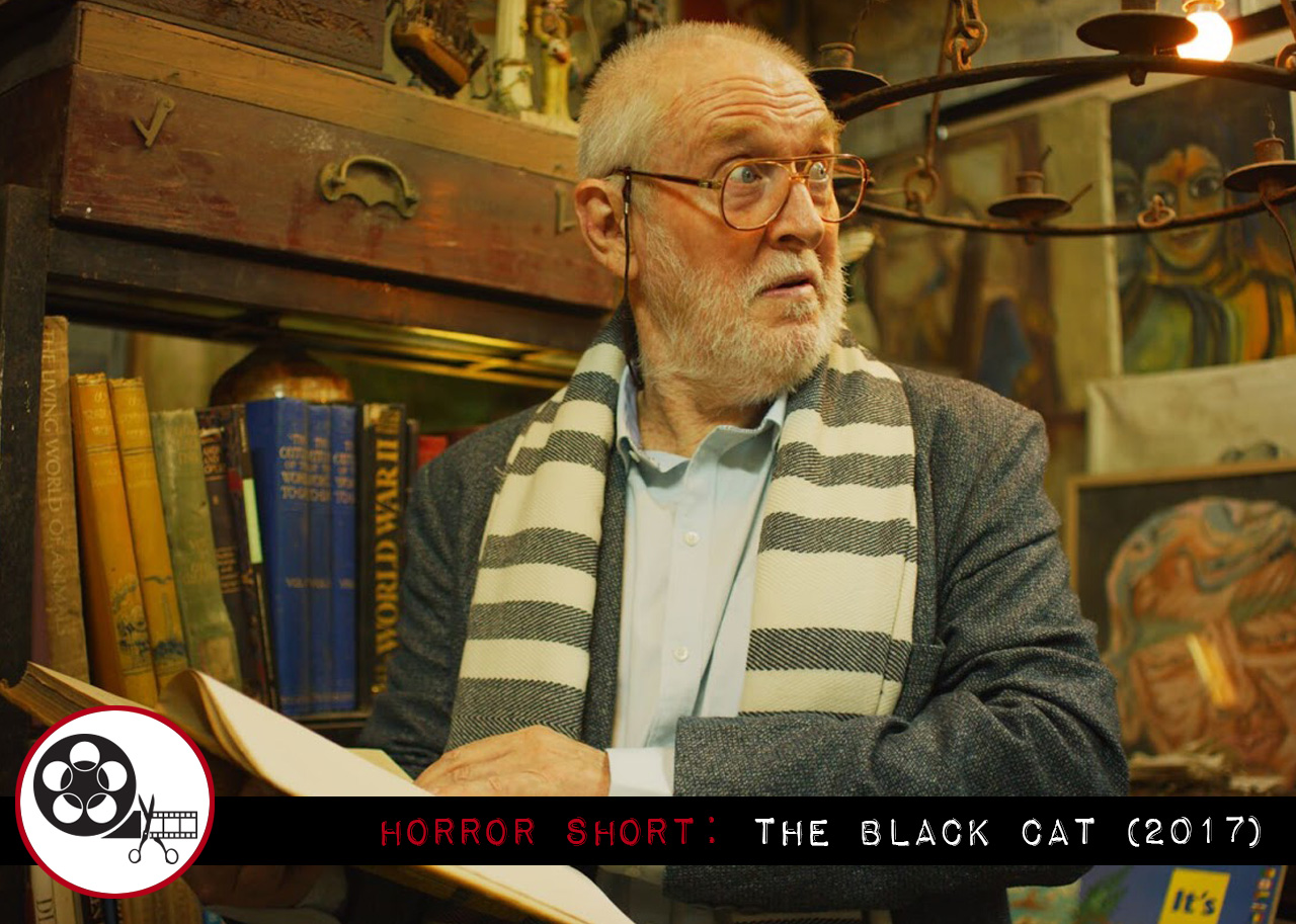 Horror Short: The Black Cat (2017)