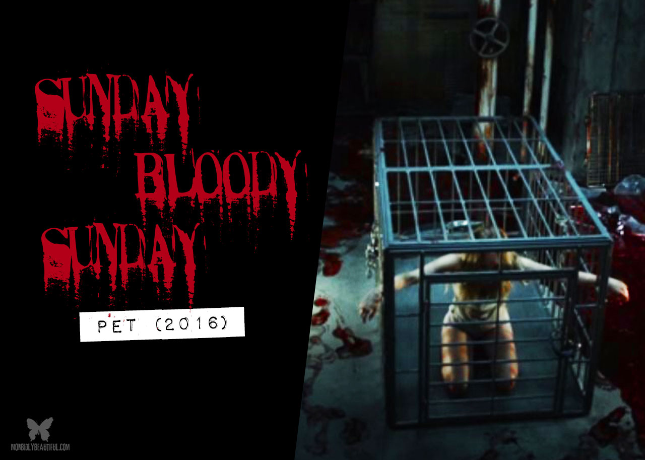 Sunday Bloody Sunday: Pet (2016)