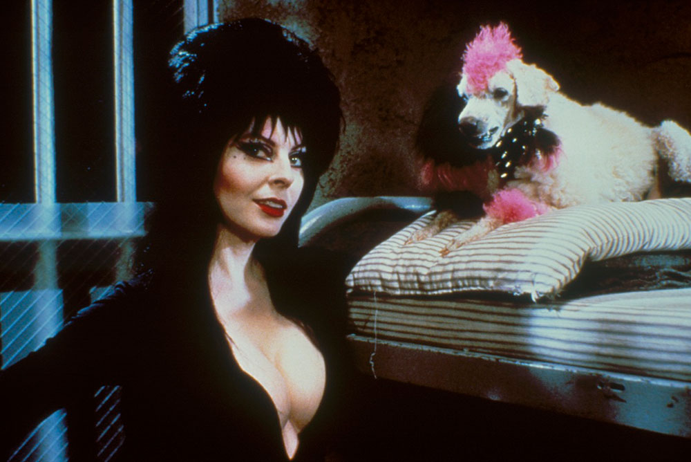 1000px x 668px - Horror History: Elvira Mistress of the Dark - Morbidly Beautiful