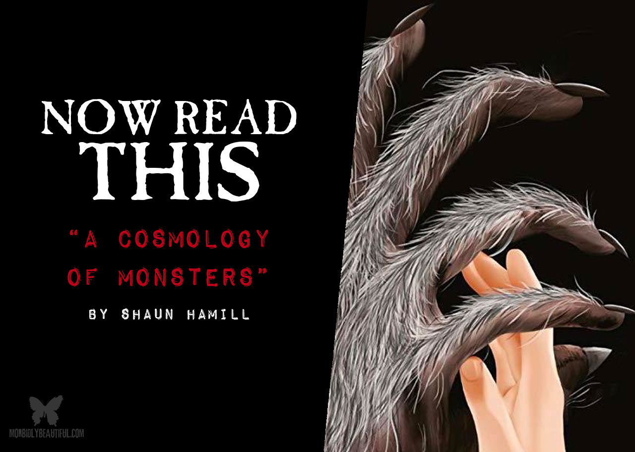 Now Read This: A Cosmology of Monsters