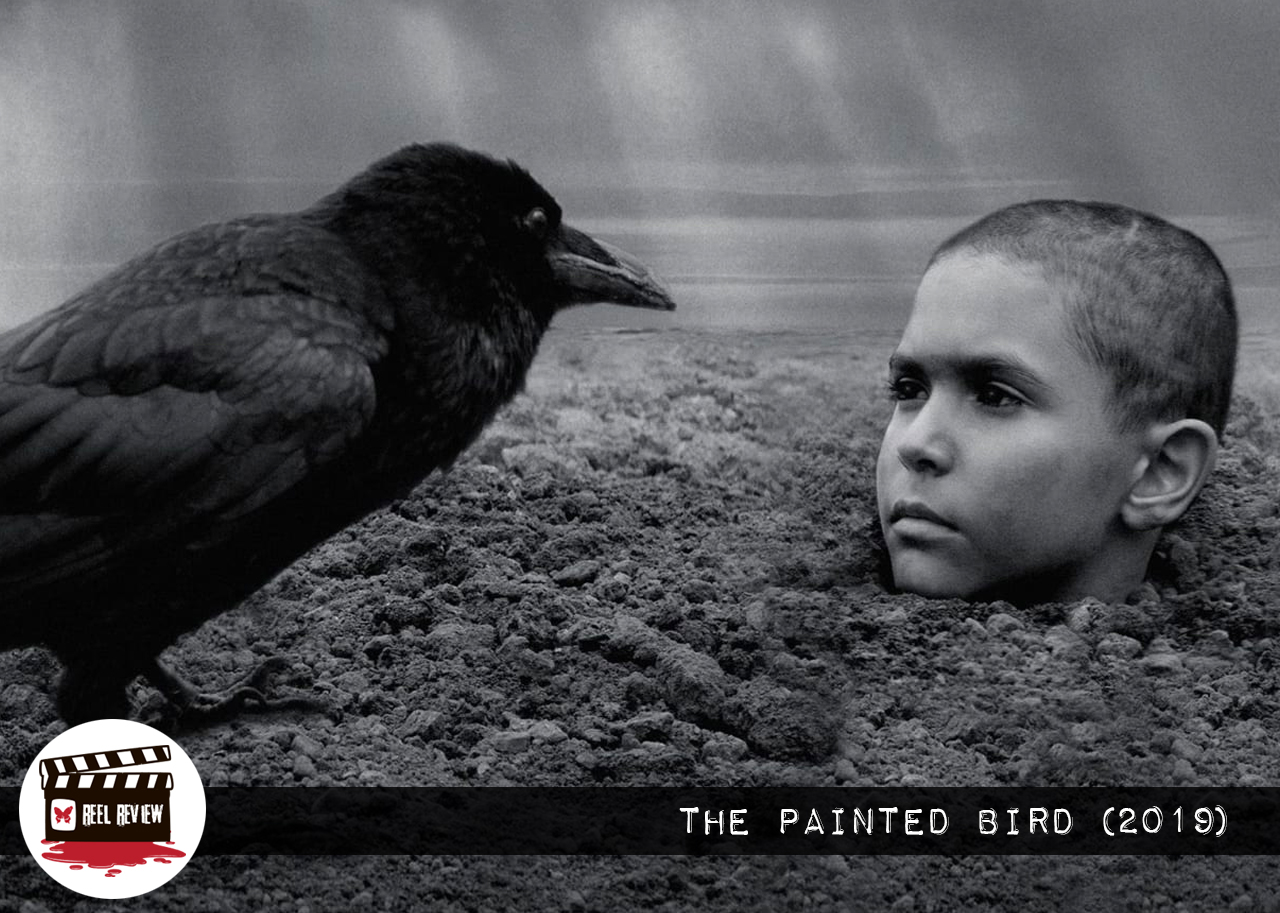 Reel Review: The Painted Bird