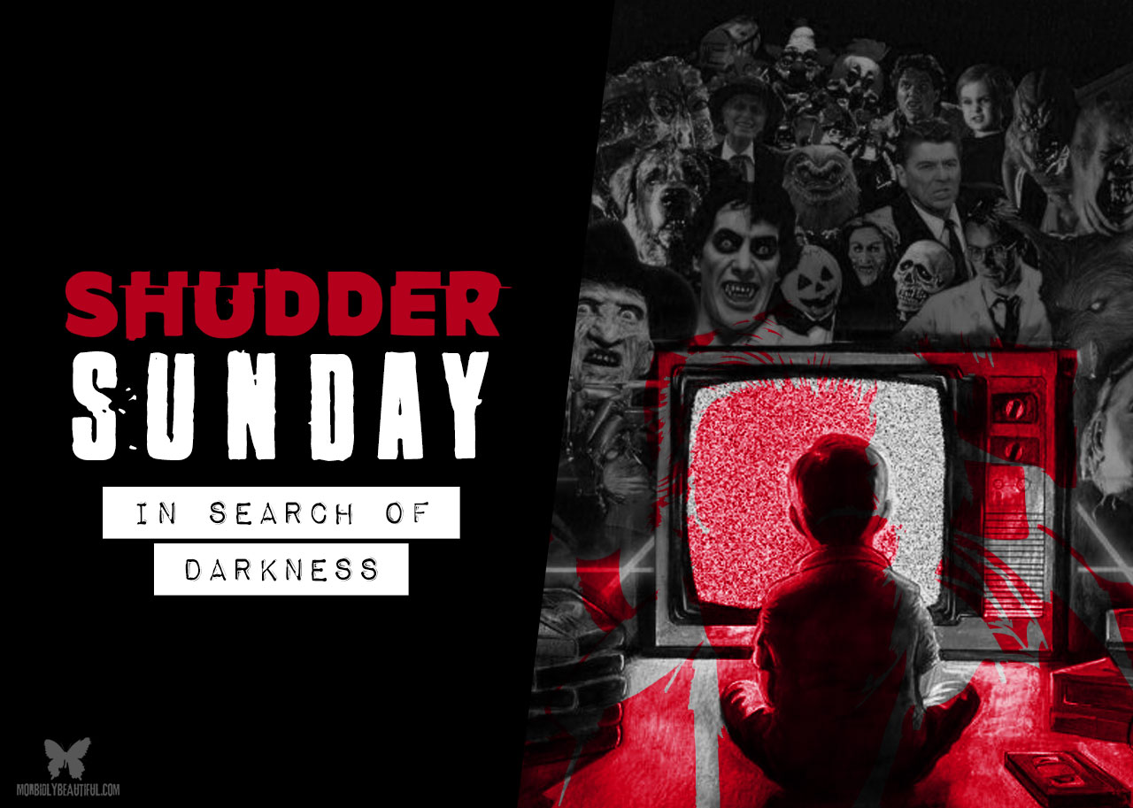 Shudder Sunday: In Search of Darkness (2020)