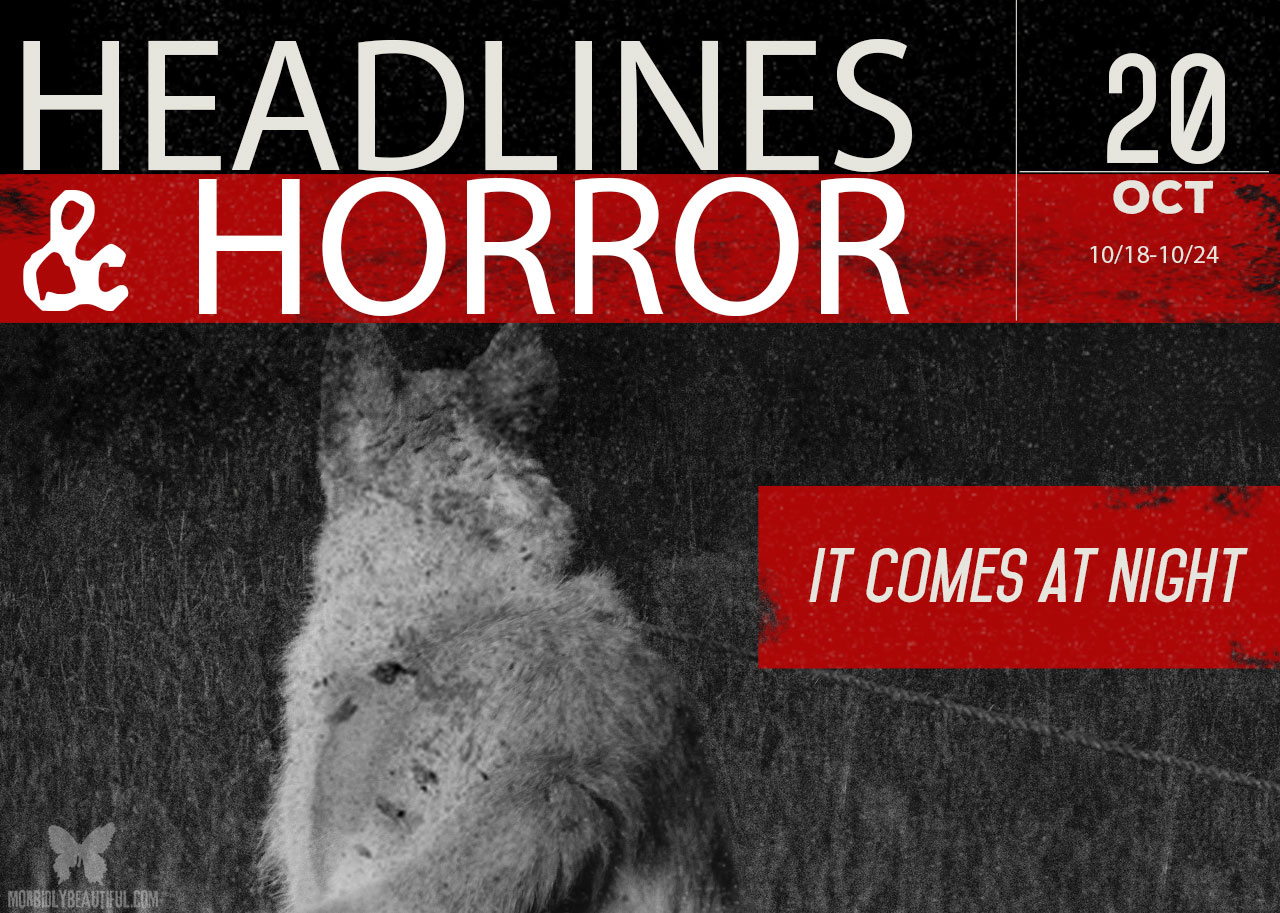 Headlines and Horror It Comes at Night