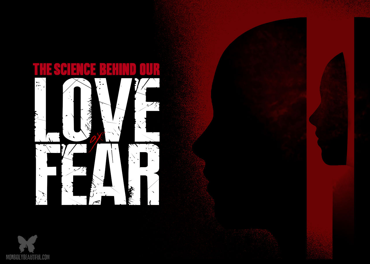 The Science Behind Our Love of Fear
