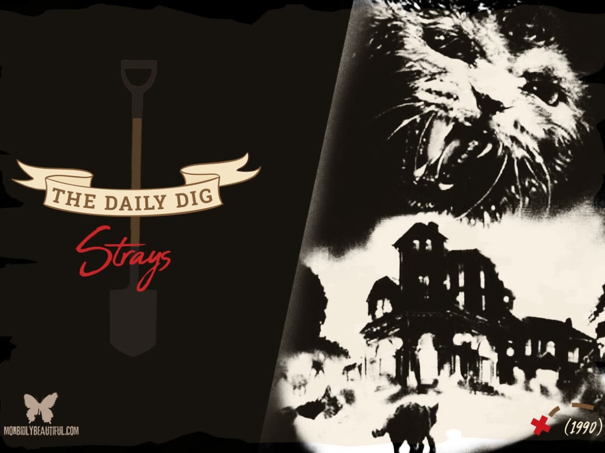 The Daily Dig: Strays (1990) - Morbidly Beautiful