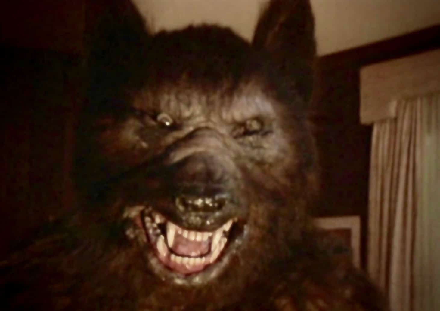 werewolf from the movie silver bullet breaking down a, Midjourney