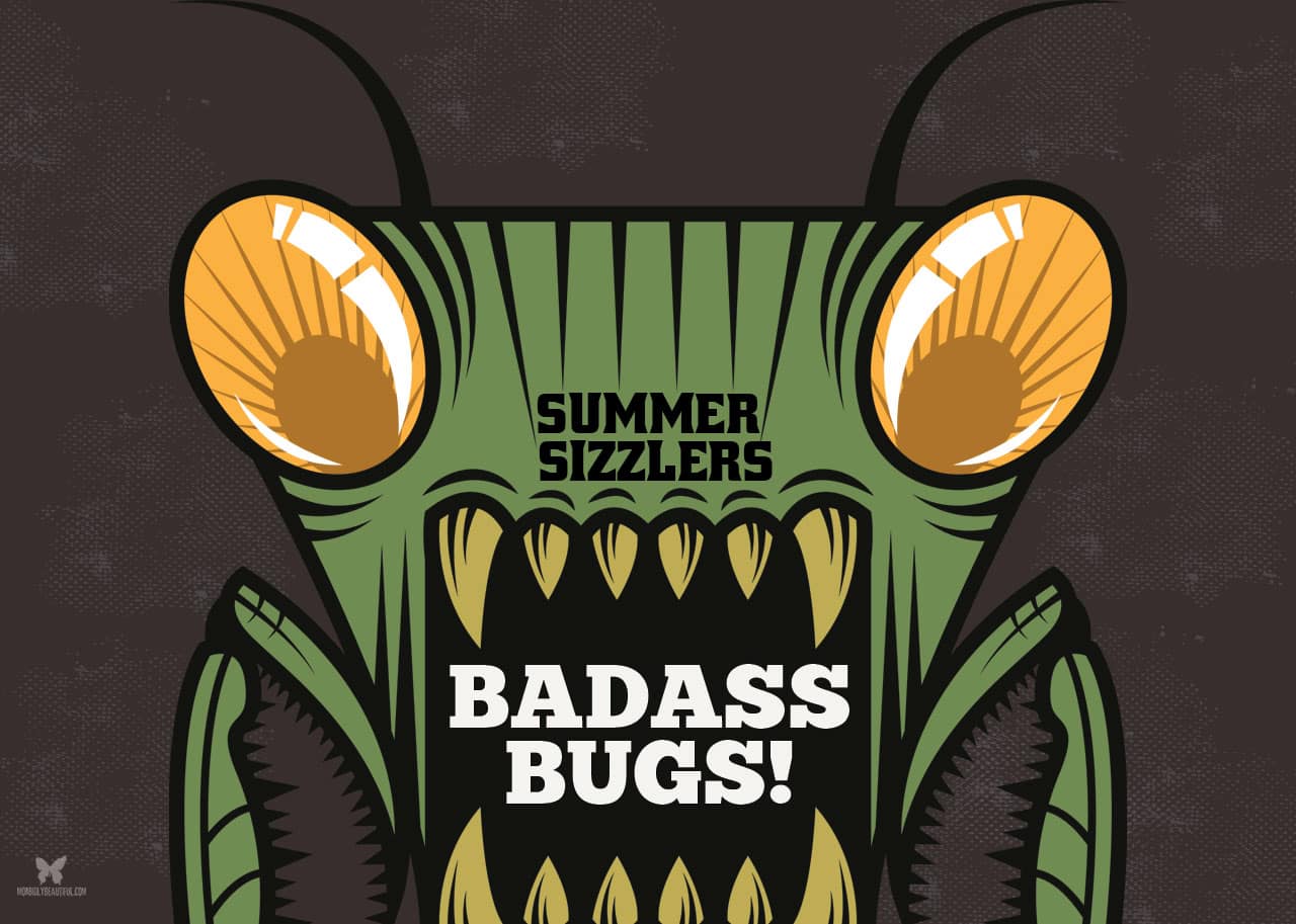 Badass Bugs