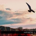 Coming Soon: Harvested 3 (2023)