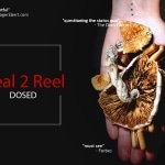Real 2 Real: Dosed
