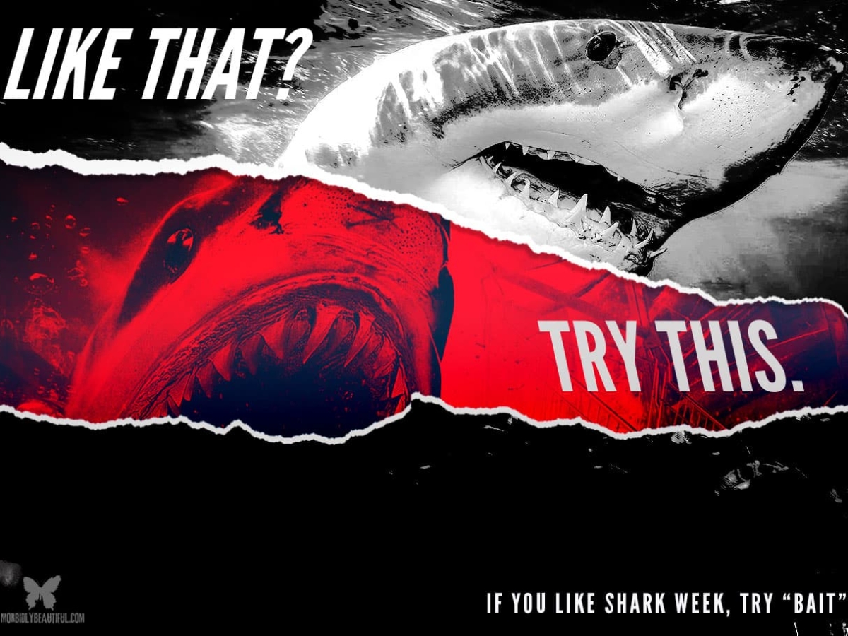 El Fin: If You Like Shark Week, Try “Bait” - Morbidly Beautiful