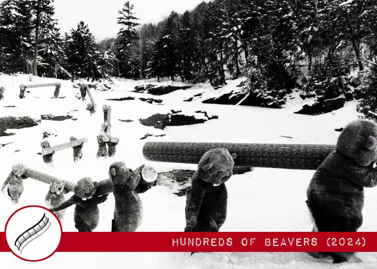 Hundreds of Beavers