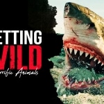 Wild animals in horror