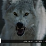 Out Come the Wolves