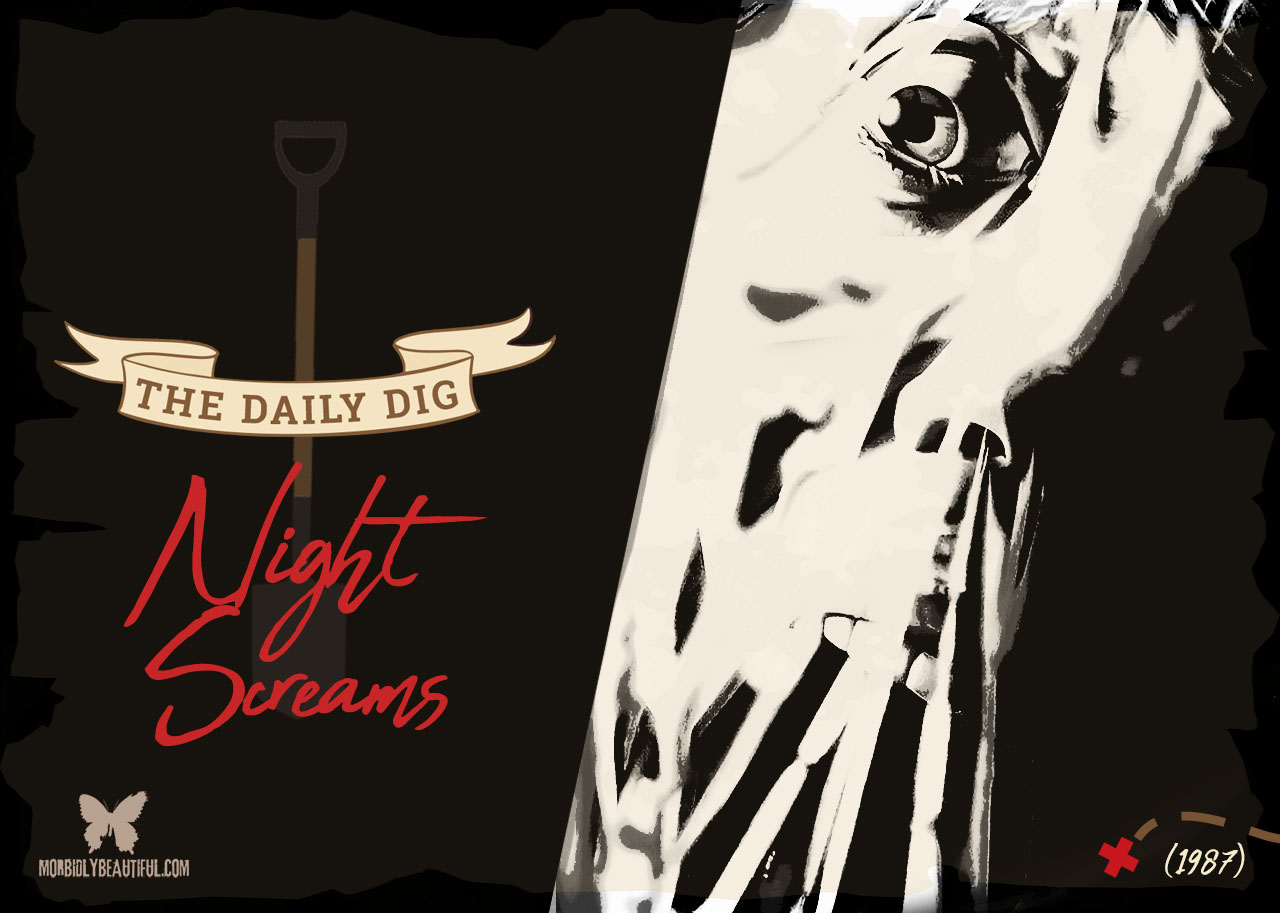 Night Screams