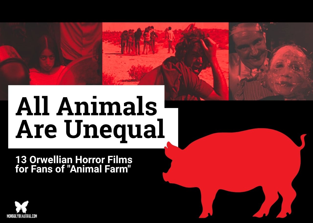 Orwellian Horror Like Animal Farm